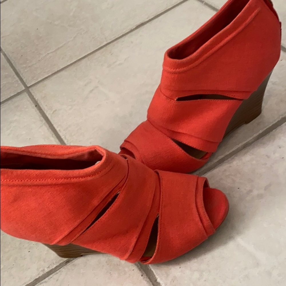 Coral wedges